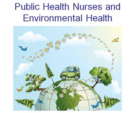 Public health nurses may assume a variety of roles regarding environmental health in their agencies.