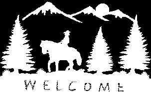 Volunteer Hours are Important Volunteerism is one of the most important activities Back Country Horsemen can use in our effort to perpetuate enjoyable common sense use of horses in the backcountry.