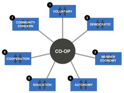 Cooperative Principles 1. How many co-ops can you name?