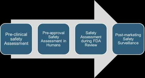 Safety Stages of Drug Research Let s take a brief look at the safety stages of drug research.