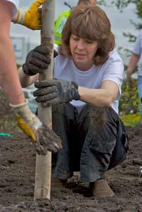 planted trees and shrubs at Abbott Loop Park, Lyn Ary Park, Turpin