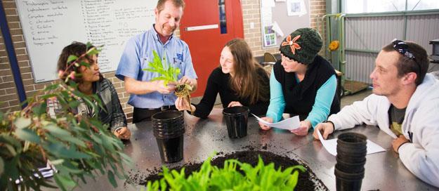 AHC20410 Certificate II in Horticulture What does this course involve?