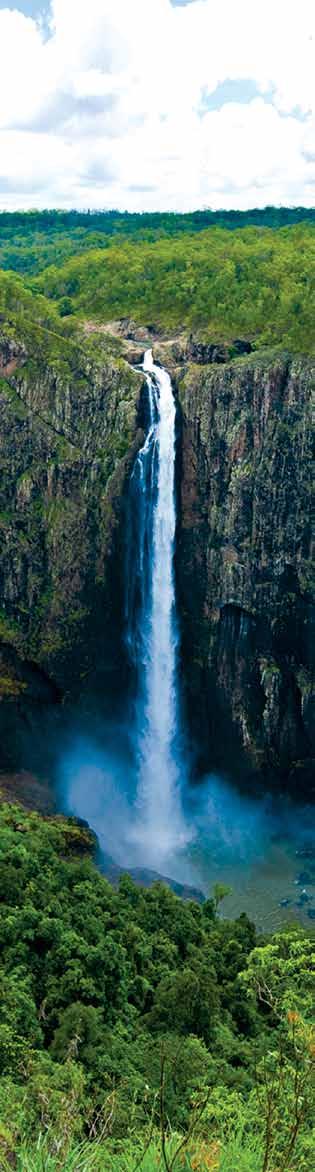Examine the feasibility of a new road linking Wallaman Falls and Paluma Investigate opportunities to develop a membership based Shire Tourism Organisation Long Term (4 years plus) Investigate