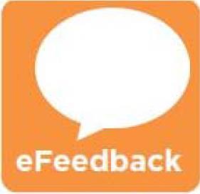 efeedback Children s Reporting Tool Double click the efeedback icon found on all Children s desktops and clinical workstations Examples: Patient care events - medication errors or consent issues