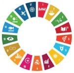 Philantropy Forum for SDGs IBL is a