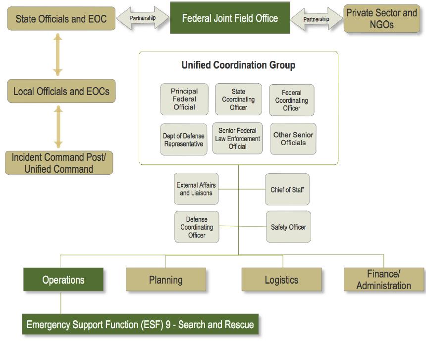 ORGANIZATION AND RESPONSIBILITIES SECTION III D.
