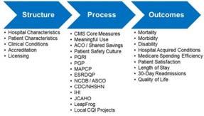 Donabedian Framework Health System Quality Assessment Here Are Examples Of Elements Within Structure, Process and Outcome Deming's 14 points Creating a Quality Culture - Purpose 1.