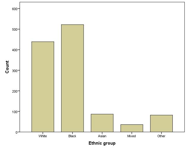 Ethnic group