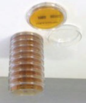 The microbial growth medium was standard medium tryptic soy agar (TSA) in 55 mm Petri dishes. The sampling plates were gamma-irradiated and delivered in a triple wrapped package.