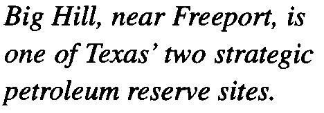 101 Texas was filed in April 1977.18 In October, the DOE began filling the Bryan Mound Petroleum Reserve at a rate of 36,000 barrels per day; by April 1978, the caverns held 22.
