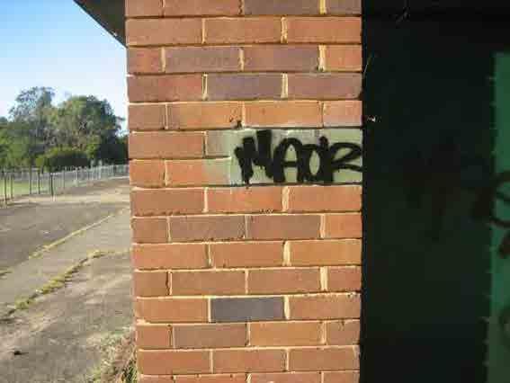 non council owned land such as four Graffiti Removal Volunteer
