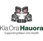 Appendix Three Objective 3: Building both the numbers and capability of the Māori Health Workforce across the South Island DHBs to ensure our workforce is responsive to and reflective of the Māori
