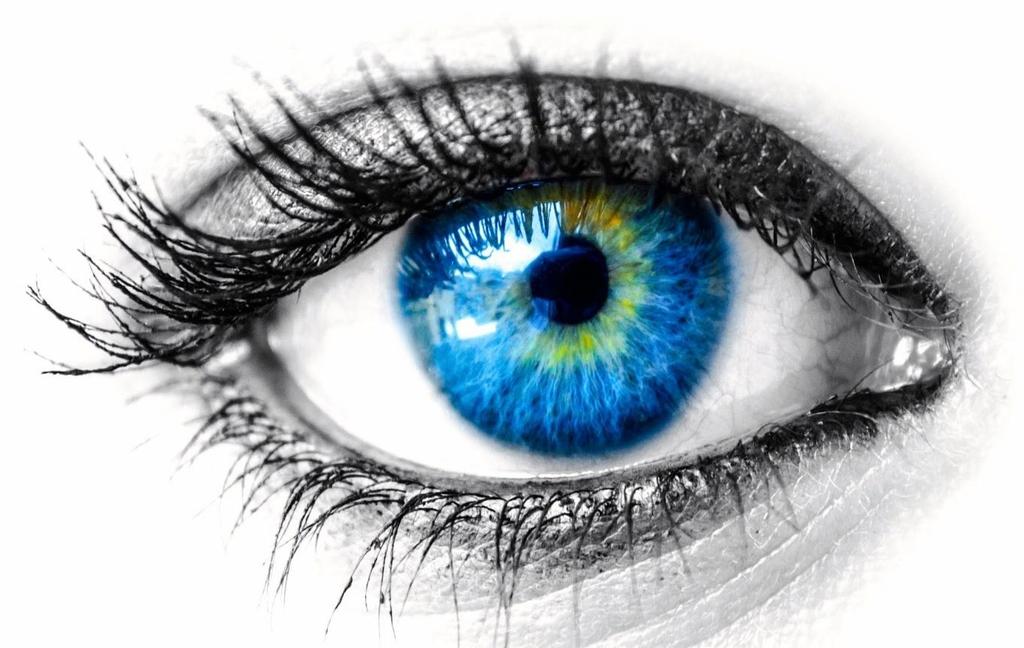 Information Guide Community Ophthalmology Service Newbury and