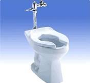 Bariatric Bathroom Bariatric Bathroom Toilets Specify floor mounted toilets