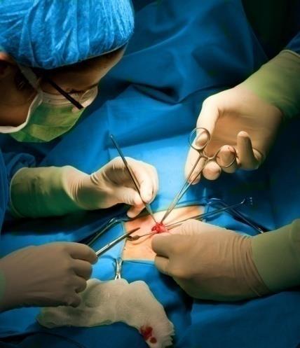Surgical Assisting Program Overview, Objectives and Learning Domain Surgical Assisting Program Overview RASA s ABSA approved, Distance Learning, Surgical Assistant program is designed to provide the