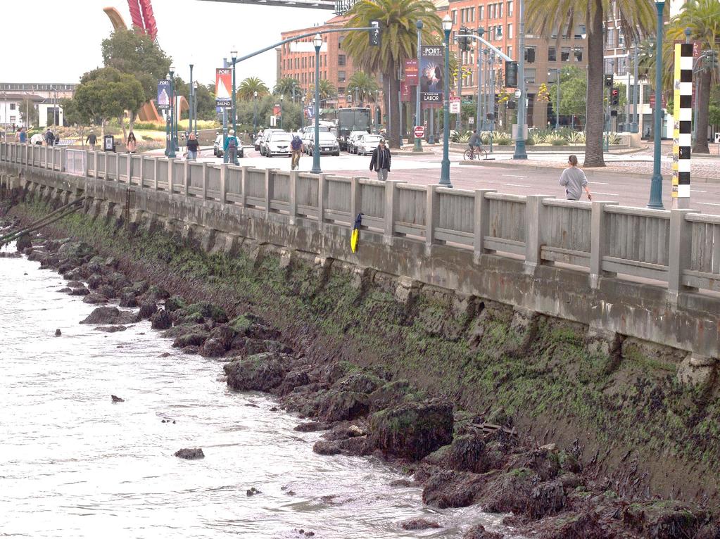 SEAWALL PROGRAM GOALS Act Quickly Reduce Earthquake Damage Improve Flood