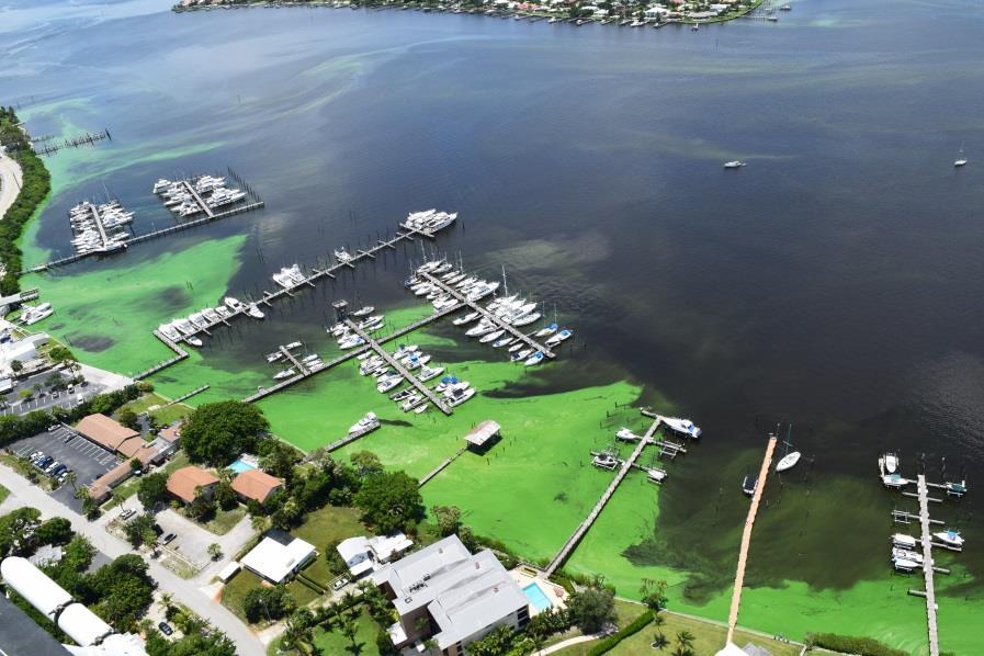 ENVIRONMENTAL RESOURCES, TOURISM AND THE ECONOMY The Indian River Lagoon, St.