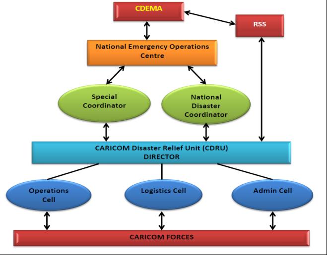 The diagram on page 21 shows the expanded structure of the CDRU and its reporting relationships with other key elements of the RRM.