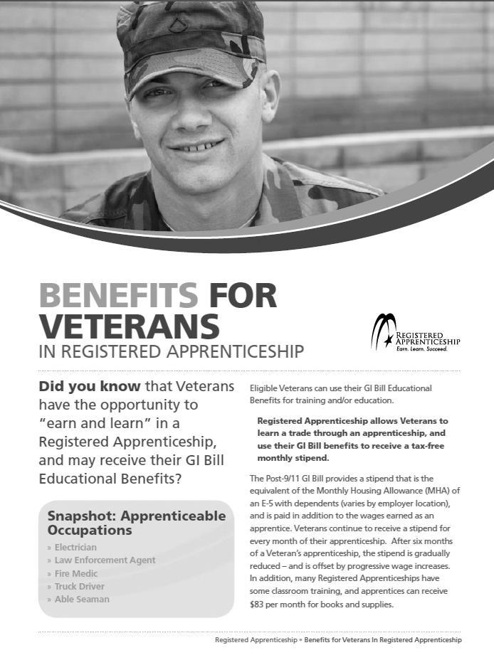 Apprenticeship enable Veterans