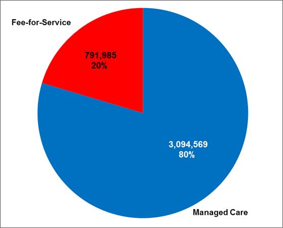 Figure 3 Florida Medicaid Enrollment by Managed Care/Fee-for-Service December 2015 Source: Medicaid Enrollment Report, January 2016, Medicaid Data Analytics Both the LTC and MMA programs include