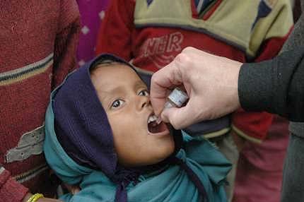 Since the PolioPlus Program s inception in 1985, more than two billion children have received oral polio vaccine.