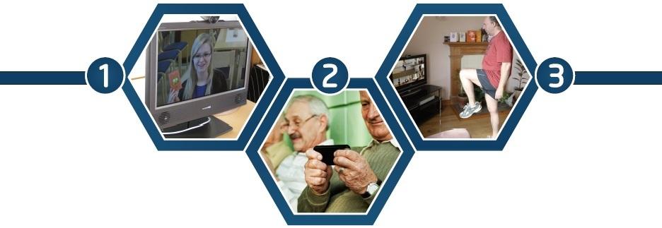 ITTS Services The ten demonstrator projects were classified into three themes: Video-consultation The major benefit of videoconferencing (VC) is to save travel time and costs, either for the patient