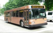 Transportation Bus/Car/ACCESS Number