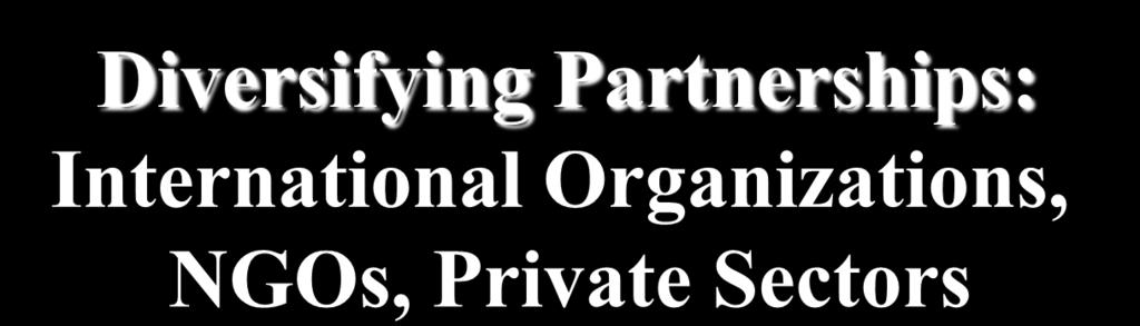 (1) Partnerships for Progress Diversifying Partnerships: International Organizations, NGOs, Private