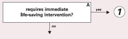 Decision Point A (con t) If you answered YES to any previous questions this patient is a ESI 1 and needs to be