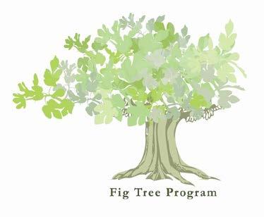 Fig Tree Program The Fig Tree Program is an allied health program.