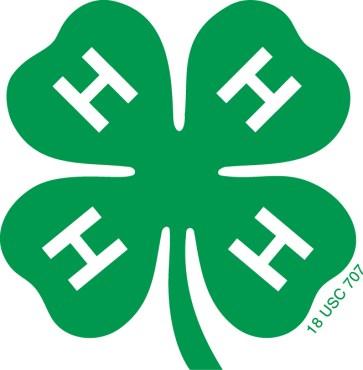 Wood County 4-H YOUTH CONNECTIONS 4-H Purpose: Engaging youth to reach their fullest potential while advancing the field of youth development.