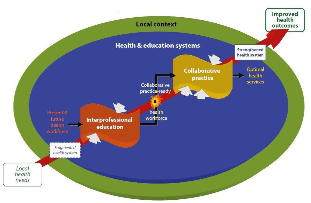 WHO, Framework for Action on Interprofessional Education and Collaborative