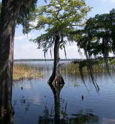 Regulatory The Jacksonville District s Regulatory Program continues to move forward in its efforts to protect the waters of the UnitedStates, including federally delineated wetlands and navigable