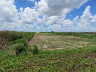 Central Everglades: Setting conditions to send additional water south The Central Everglades Planning Project recently received Congressional authorization.