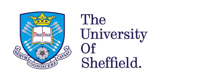 PACEC & Medical Care Research Unit, University of Sheffield, Review