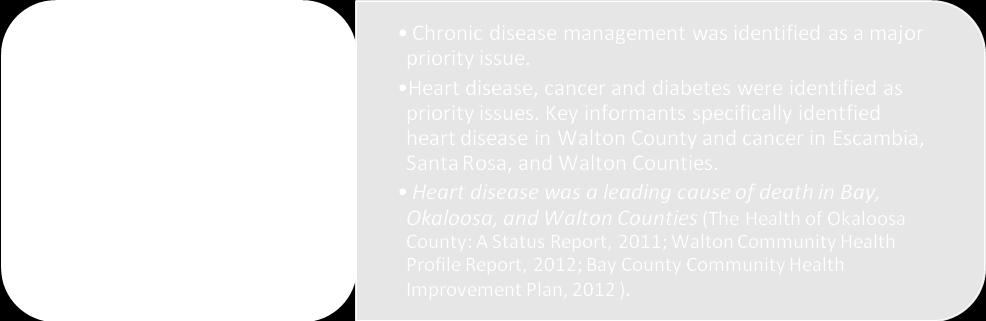 These areas were informed by National Association of County and City Health Officials and Catholic Health Associations Community Health Needs models, and they were determined by