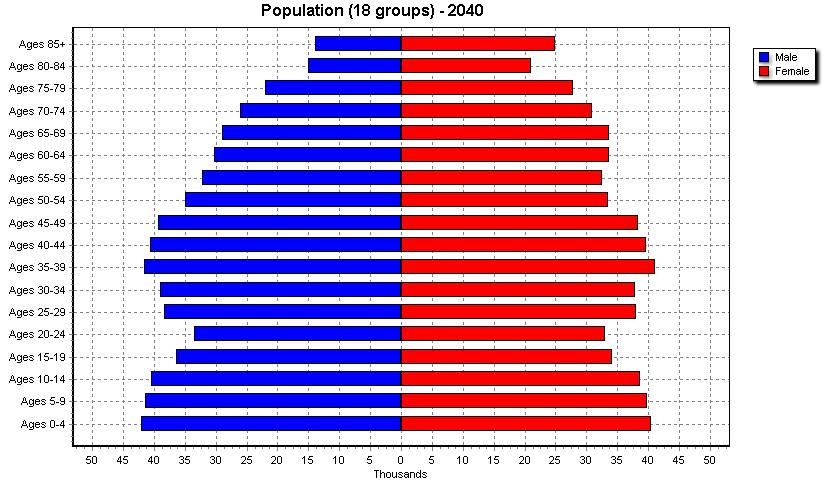 2040 Gwinnett Age Composition