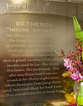 Her devotion and in February 1955, the Auxiliary provided an commitment to patients in healing their mind, excellent service to Bethesda and contributed body and spirit was inspirational.