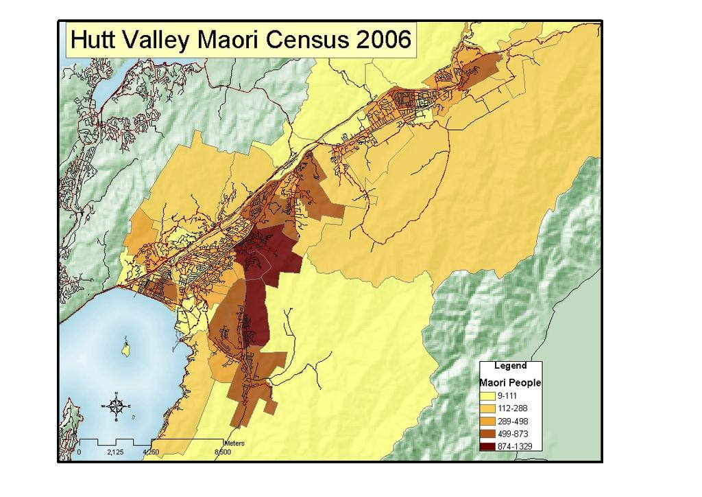 1 Hutt Valley DHB s Māori population and their health needs Māori, at 25,300 people, make up 17.4% of the population in the Hutt Valley.