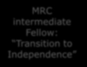 investigator grants MRC intermediate Fellow: Transition to