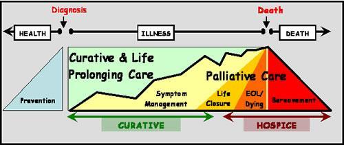 7 The New Paradigm Source: University of Michigan Geriatric Program The New Paradigm Establish relationship with patient/family early Assist to improve QOL while patient is