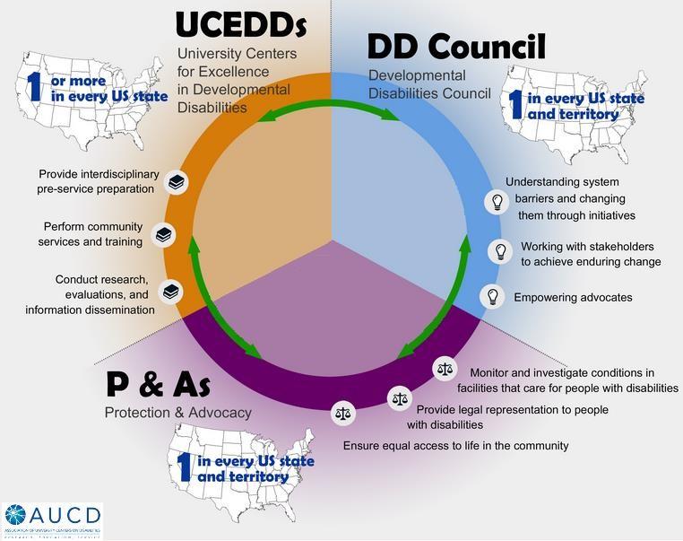 The DD Network The Developmental Disabilities Network is made up of State Councils, Protection and Advocacy Systems, University Centers for Excellence and Projects of National Significance.