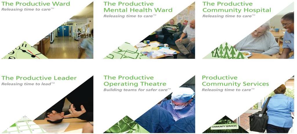 Supporting the sustainability of the Productive Ward programme The Productive Mental Health Ward