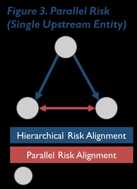 Parallel Risk In a parallel risk framework, health care providers and CBOs have no direct financial relationship, and funding streams are not integrated.