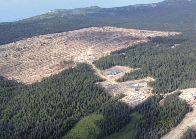 New Gold is a BC-based intermediate mining company that has the experience, financial resources, and capital market expertise to develop the Blackwater Project and operate the mine through to closure.