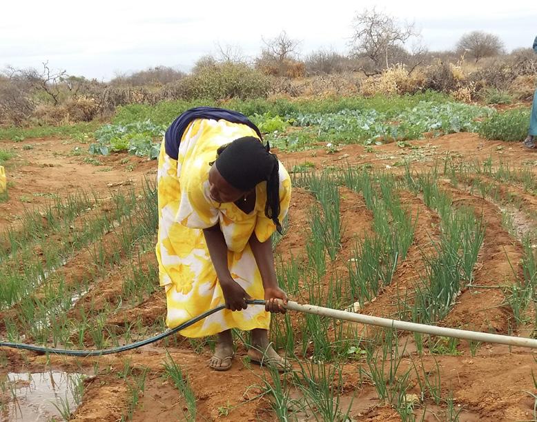 The scope and efficiency of early warning data collection in Wajir is being increased with WFP support through the integration of data variables for the WFP Food Security Outcome Monitoring report