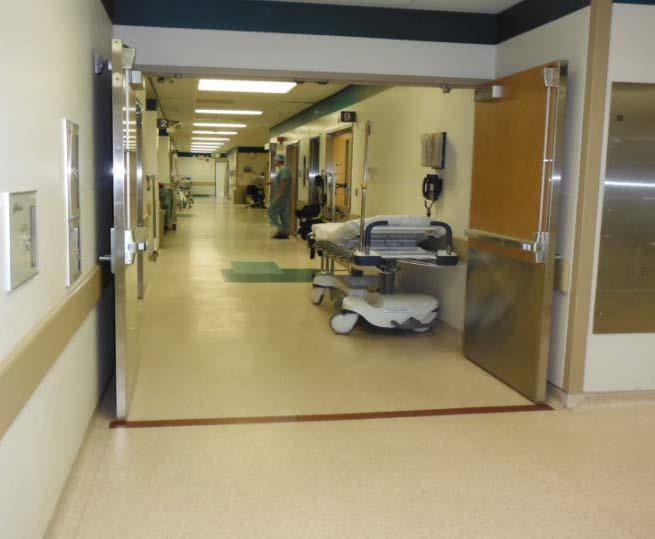 Semi-Restricted Peripheral support areas of the OR Include: Hallways leading to the OR Suites Storage areas for clean and sterile