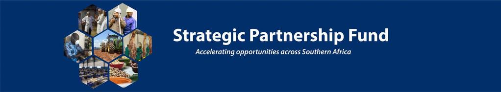 Louise Hogan, Strategic Partnership