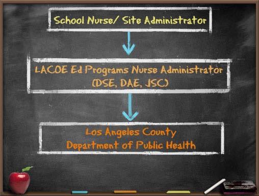 (Reporting Protocols for LACOE Ed Programs ONLY (Division of Special Education (DSE), the Division of