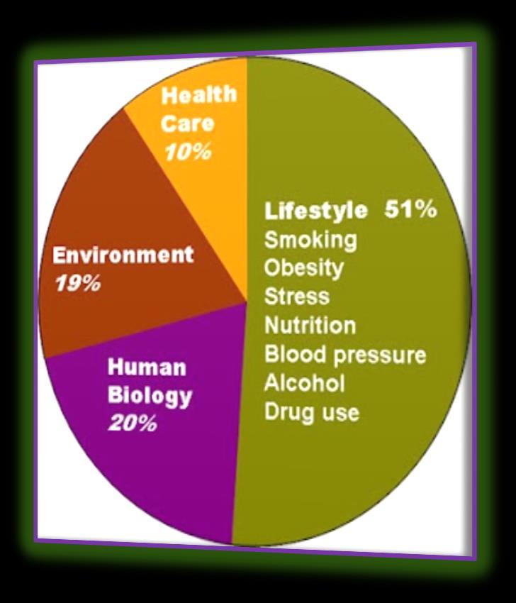 Core determinants of 1 Life style 51% 2 Human Biology 20% 3 Environment